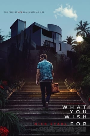 What You Wish For poster 4