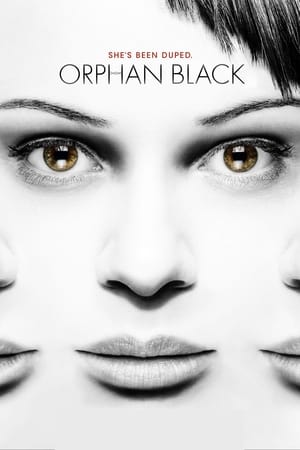Orphan Black, Season 1 poster 2