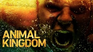 Animal Kingdom, Season 3 image 1