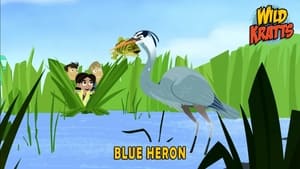 Wild Kratts, Vol. 5 - Blue Heron image