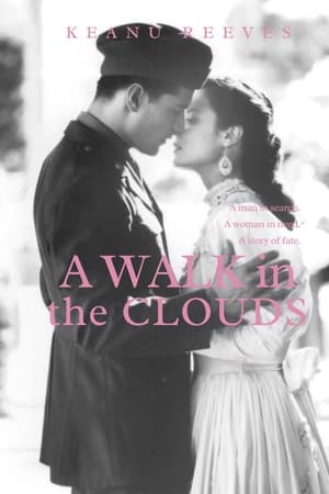 A Walk in the Clouds poster 2