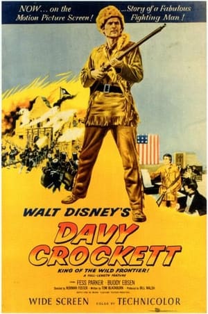 Davy Crockett: King of the Wild Frontier poster 2