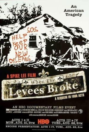 When the Levees Broke poster 2