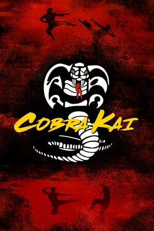 Cobra Kai, Season 2 poster 3