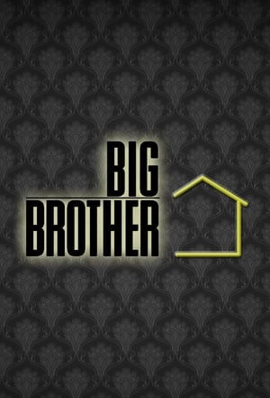 Big Brother, Season 24 poster 1