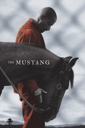 The Mustang poster 4