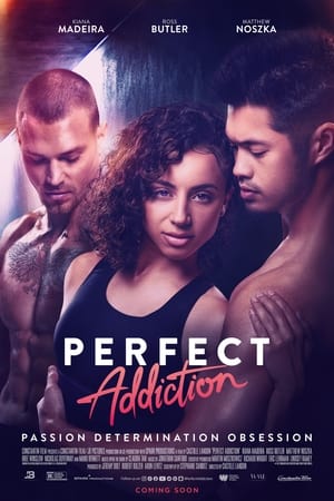 Perfect Addiction poster 1