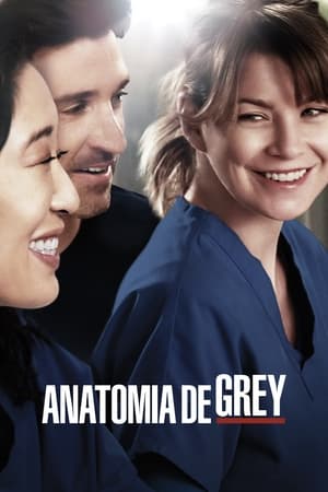 Grey's Anatomy, Season 11 poster 3