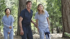Grey's Anatomy, Season 8 - Flight image