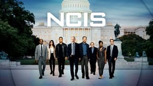 NCIS, Season 13 image 0