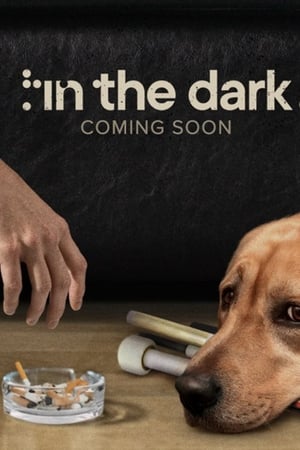 In The Dark, Season 4 poster 1