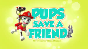 PAW Patrol, Vol. 2 - Pups Save a Friend image
