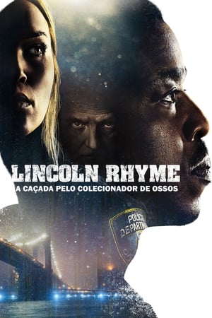 Lincoln Rhyme: Hunt for the Bone Collector, Season 1 poster 1