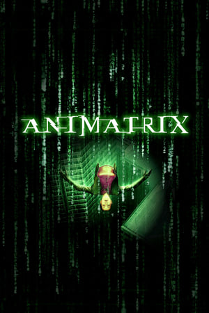 The Animatrix poster 3