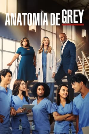Grey's Anatomy, Season 4 poster 1