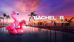 Bachelor in Paradise, Season 1 image 0