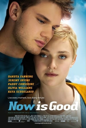 Now is Good poster 3