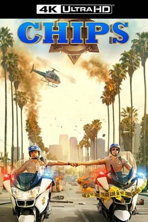 CHiPs (2017) poster 3