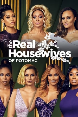 The Real Housewives of Potomac, Season 1 poster 1