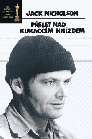 One Flew Over the Cuckoo's Nest poster 4