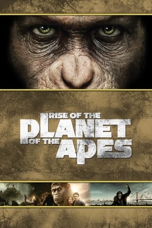 Rise of the Planet of the Apes poster 3