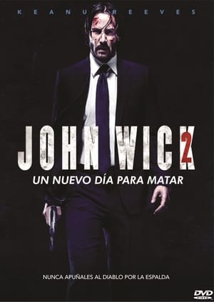 John Wick: Chapter 2 poster 3