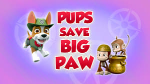 PAW Patrol, Vol. 5 - Pups Save Big Paw image