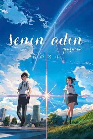 Your Name. (Subtitled) poster 4