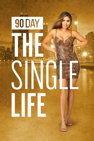 90 Day: The Single Life, Season 3 poster 1