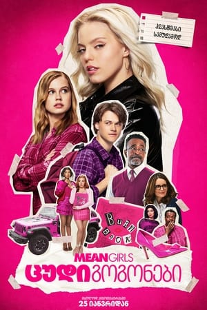 Mean Girls poster 2