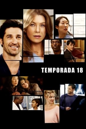 Grey's Anatomy, Season 13 poster 0