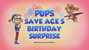 PAW Patrol, Vol. 5 - Pups Save Ace's Birthday image