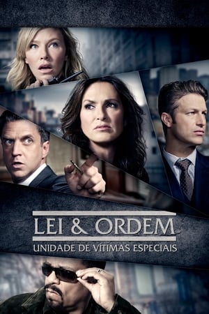 Law & Order: SVU (Special Victims Unit), Season 8 poster 3