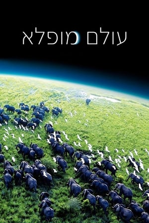 Planet Earth: Original Specials poster 3