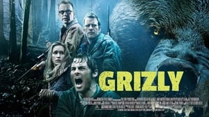 Into the Grizzly Maze image 6