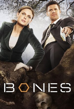 Bones, Season 12 poster 1