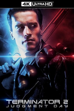 Terminator 2: Judgment Day poster 3