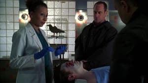 Law & Order: SVU (Special Victims Unit), Season 8 - Sin image