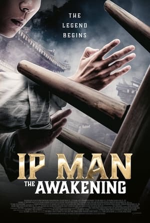 The Awakening (1980) poster 3