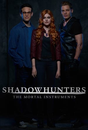 Shadowhunters, Season 3 poster 2