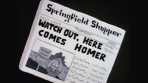 The Simpsons, Season 1 - Homer's Odyssey image