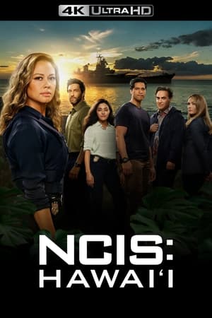 NCIS: Hawai'i, Season 3 poster 3