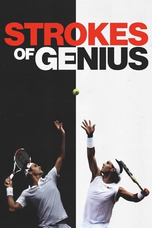 Strokes of Genius poster 4