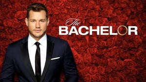 The Bachelor, Season 26 image 2