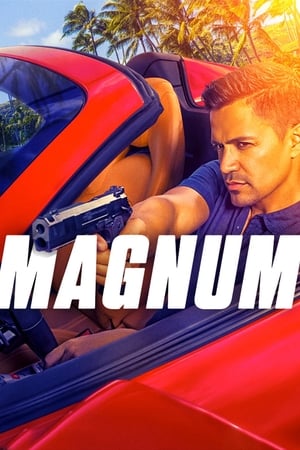 Magnum P.I., Season 5 poster 1