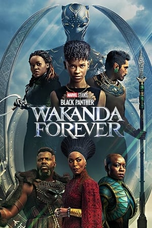 Black Panther (2018) poster 2