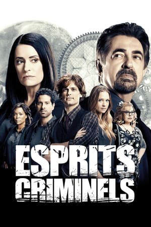 Criminal Minds, Season 6 poster 3