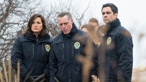 Law & Order: SVU (Special Victims Unit), Season 16 - Daydream Believer (III) image