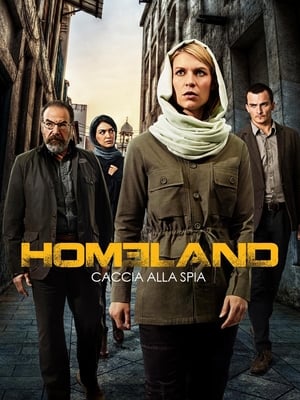 Homeland, The Complete Series poster 3