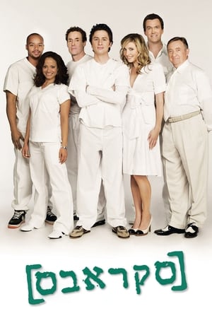 Scrubs, Season 4 poster 1